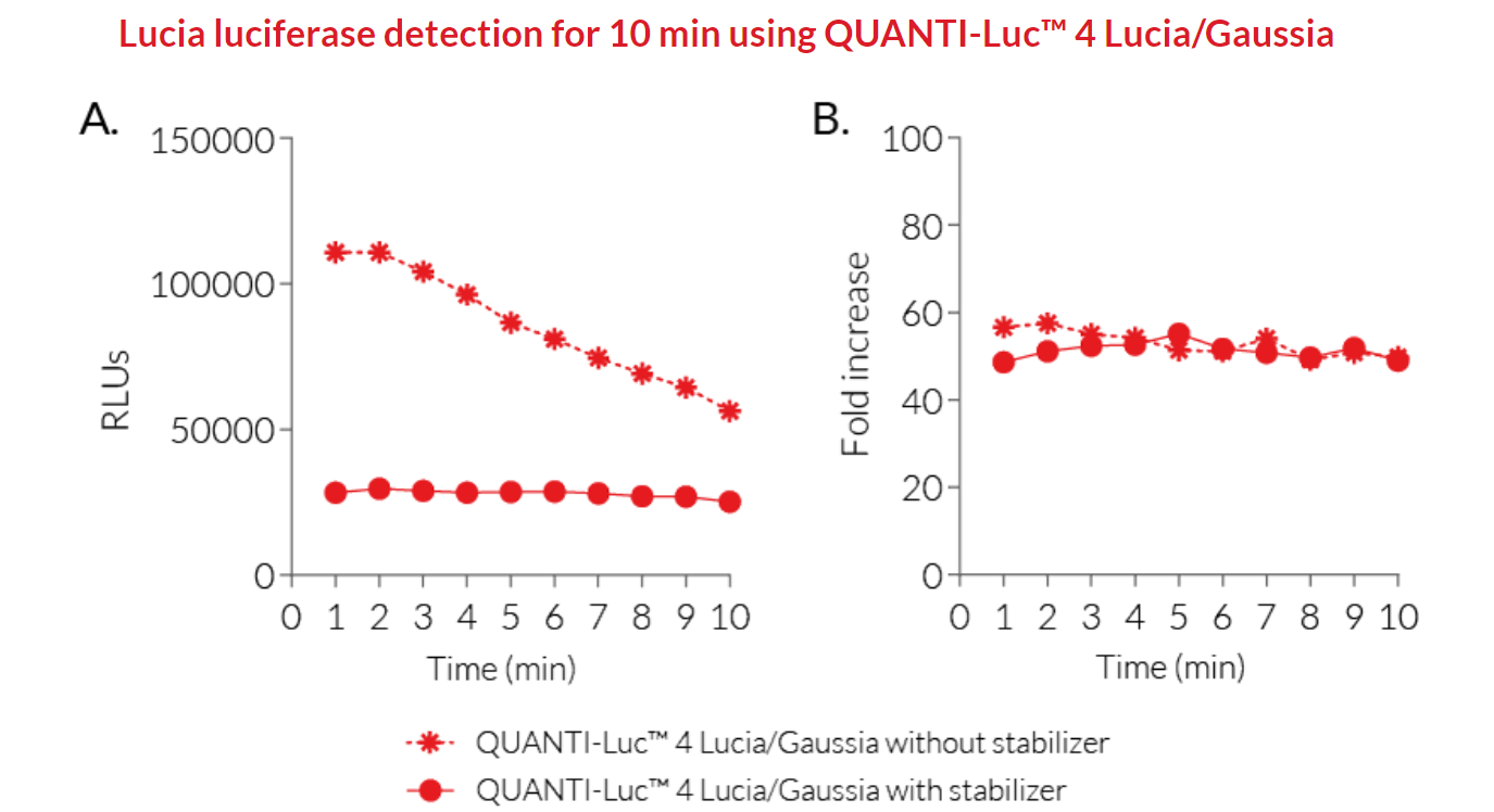 プラチナルチル　検討中 最高級ランクルチルクォーツ「プレミアムフォーチュネイトルチル」